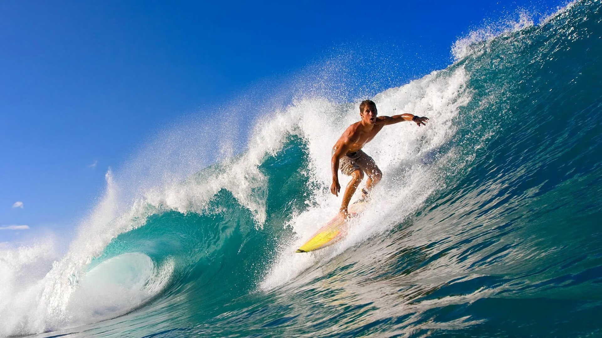 开云平台-逆转与制胜，波尔如何带领日本队改写历史
